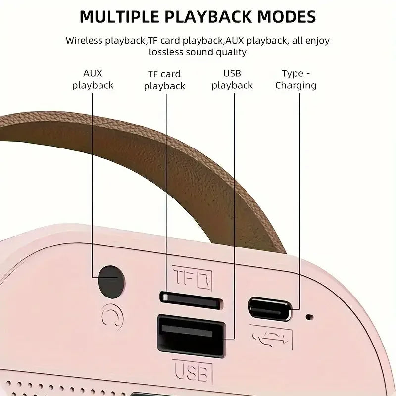 Bluetooth Karaoke Machine Portable