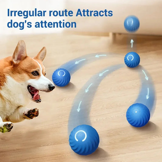 Smart Dog Rechargeable Rolling Ball