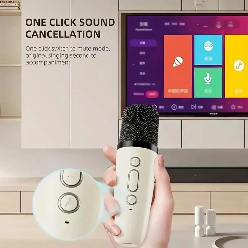 Bluetooth Karaoke Machine Portable